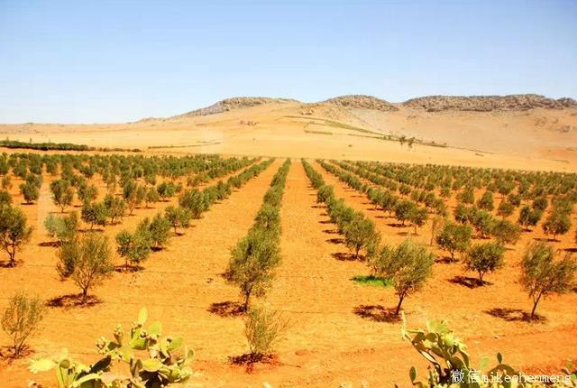 爱沙尼亚不敌摩洛哥遭遇挫败 爱沙尼亚不敌摩洛哥遭遇挫败