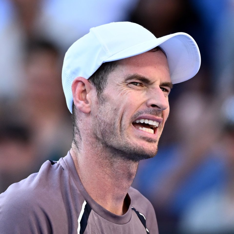 美网完胜澳网，穆雷关键制胜