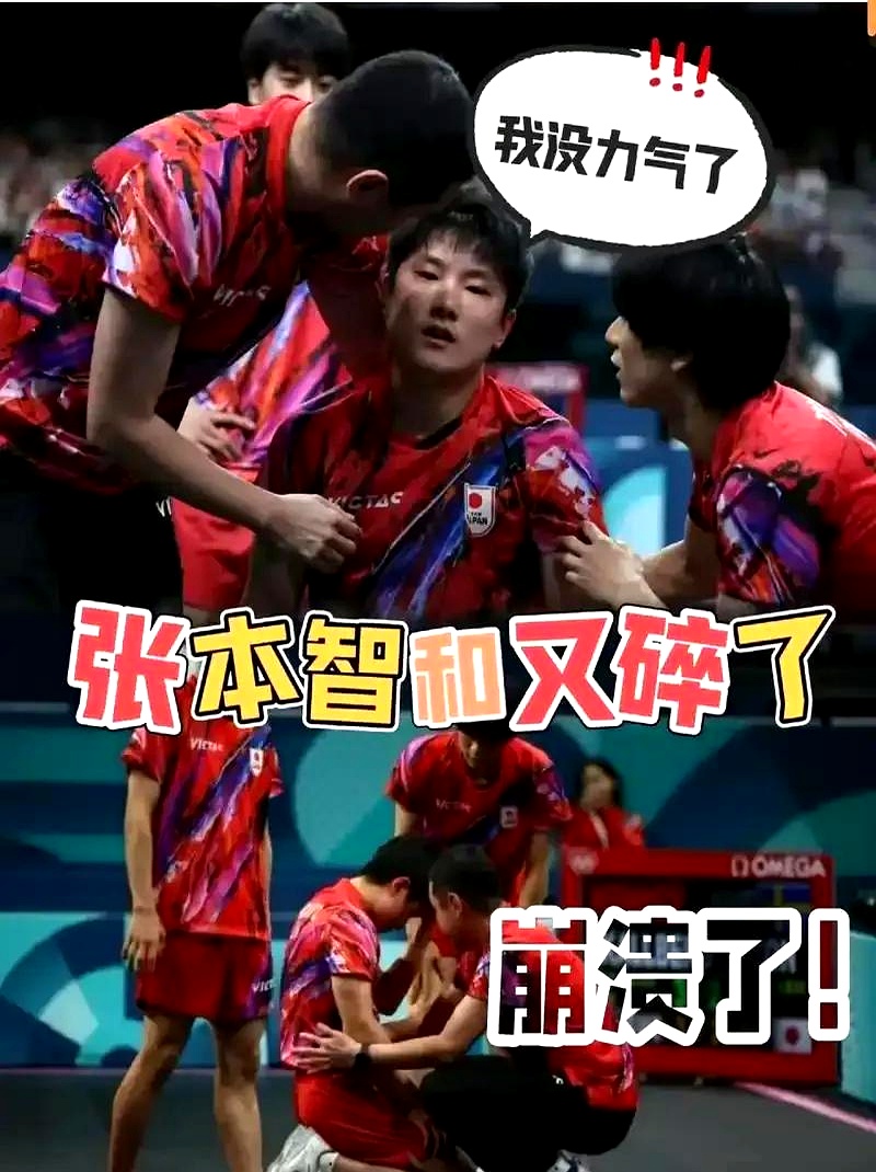 德国队完胜波兰队，张本智和统治全场